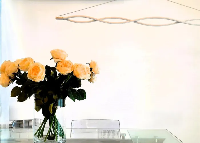 Soare Si Club * Mamaia